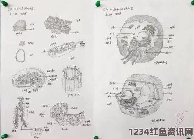 高中生手绘板报版王者荣耀中的赵云形象，才华横溢的艺术创作