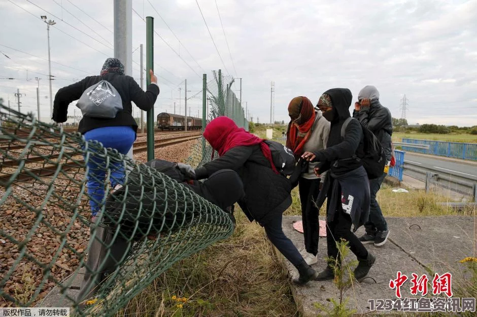 荷兰记者遭遇难民营抢劫事件，加莱难民营的暴力现象引发关注