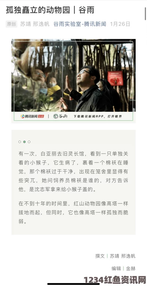 《eessue步枪区打不开》：探索影视世界中的武打片，揭示刺激剧情背后的深刻评价与小说创作。