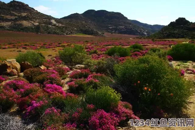 南非遭遇百年最严重干旱危机，影响与应对措施