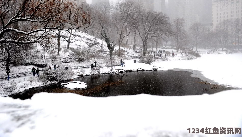 暴风雪即将袭击日本，部分地区积雪预测高达30厘米