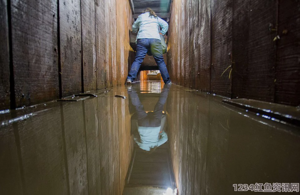 墨西哥毒枭藏身地道惊现雨水倒灌，终被捕获揭示隐秘生活