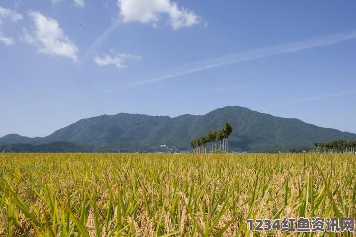 日本北海道新干线开通，助力经济与成人娱乐业的双重发展