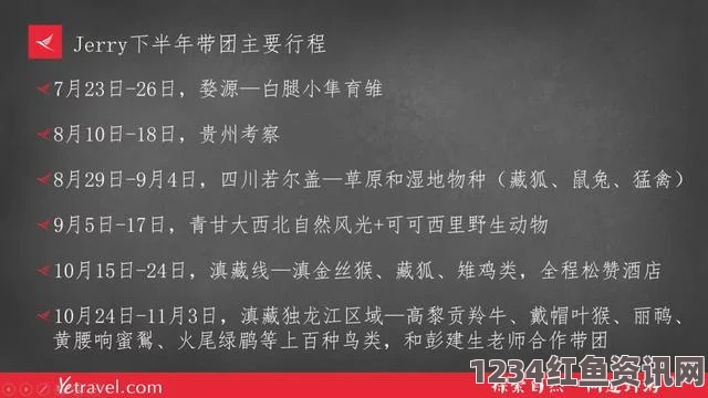 中文字幕乱码人妻二区三区91吃瓜网黑料不打烊：深度解析——探索影视武打片中的刺激与评价，畅游小说背后的故事