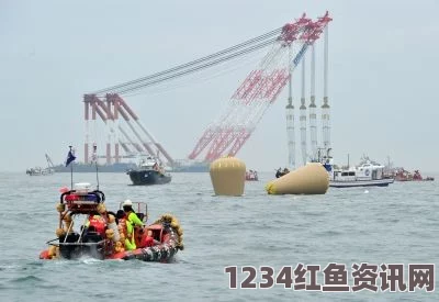 日本客船在韩国附近海域遭遇鲸鱼撞击，造成4人受伤