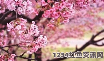 阴阳师3.16更新内容详解，樱花祭福利活动盛大开启，丰厚奖励等你来拿