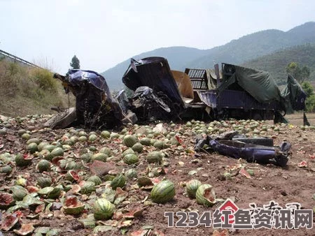 土耳其难民车祸事件致四人死亡，引发关注