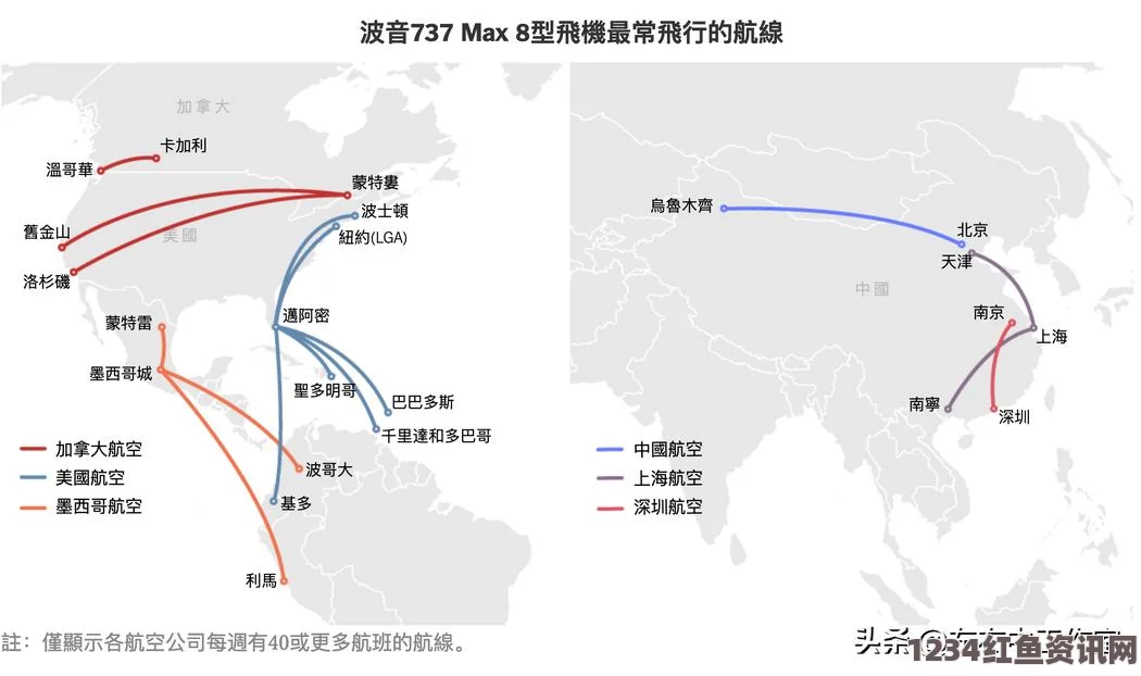 加拿大男童禁飞黑名单遭遇记，家庭寻求公正之路