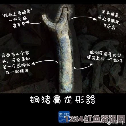 铜铜铜铜铜铜铜好疼免费：探索武打片与影视小说的刺激评价