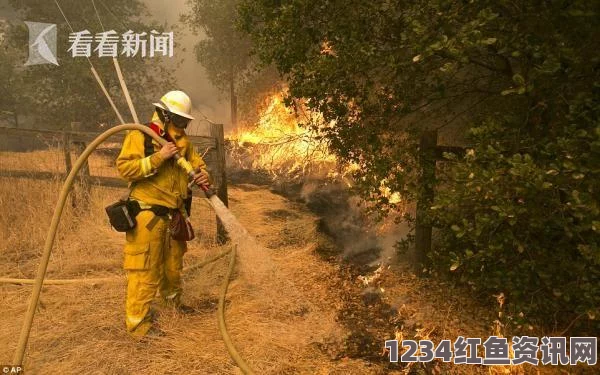 印度发生强烈地震，多人遇难，电力供应中断，居民紧急撤离