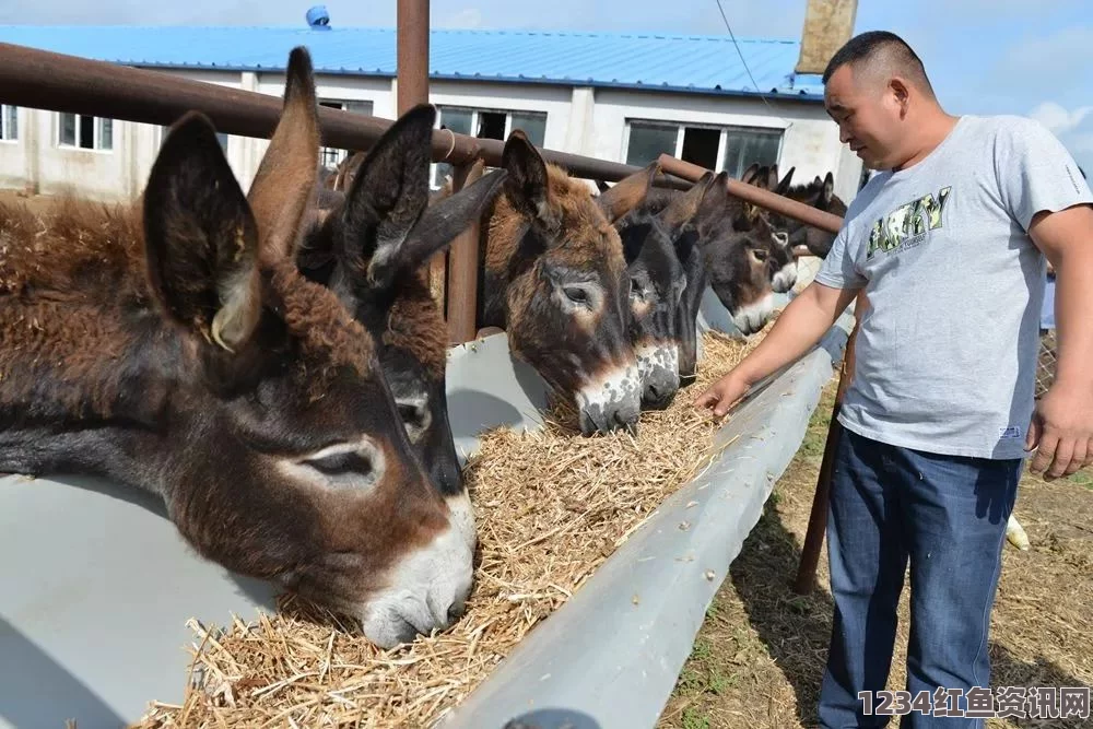 美国一农场工人性侵母驴遭重判，悲剧背后的警示与思考