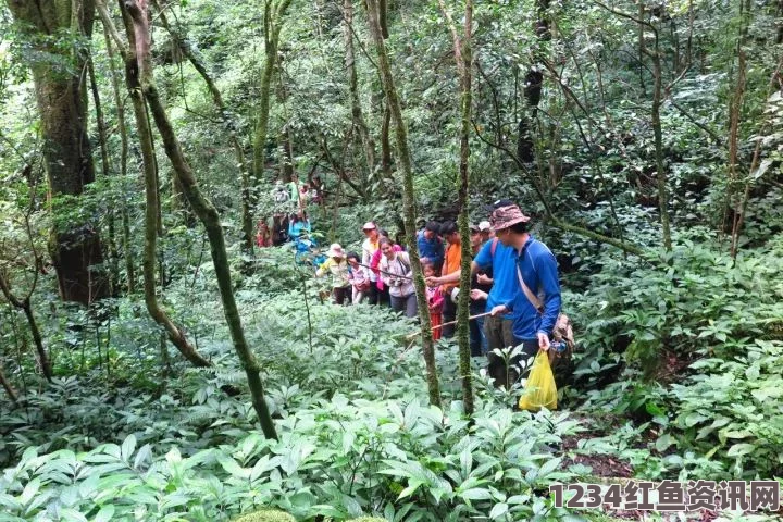 十九岁潮汕仙踪林的介绍与激情探索：感受自然魅力与心灵共鸣的完美融合