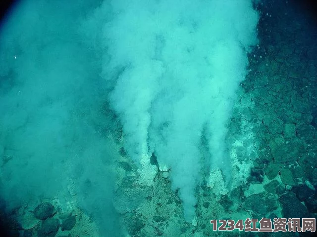 揭秘史前微生物化石，揭示地球早期环境与生命起源的奥秘