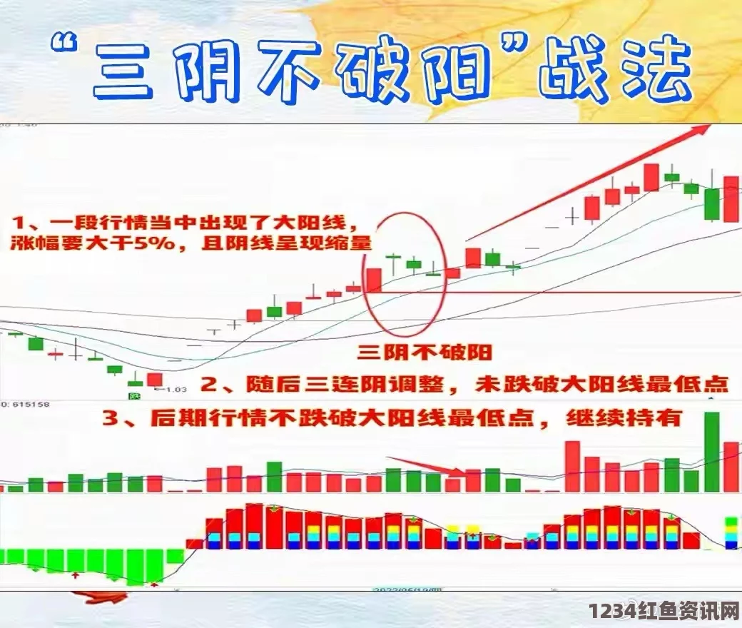 一阳吞三阴：探索服务的激情与评测之旅