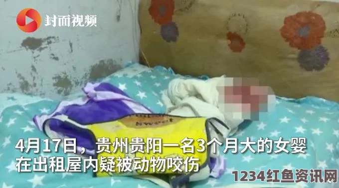 印女婴火车厕所内奇迹生还，跌入便池轨道却幸存