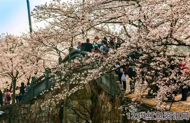 樱花动漫在线观看免费完整版影视9幺1.0.31：激情探索与评价交织，带你领略全新视觉盛宴！