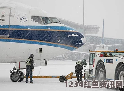 受大雪影响，伊斯坦布尔航班遭遇严重延误与取消，往返航班达千余次调整