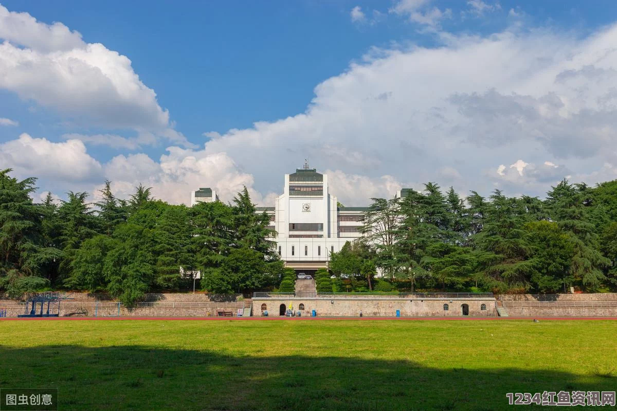 中国热潮涌动，赴法国野鸡商学院混文凭与打工现象深度解析（附图）