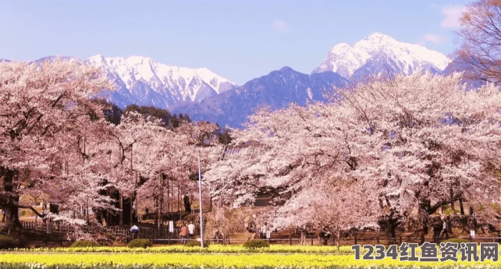 樱花动漫在线观看免费完整版影视日本大但人文艺术项目介绍：深入探索与激情体验的美丽画卷