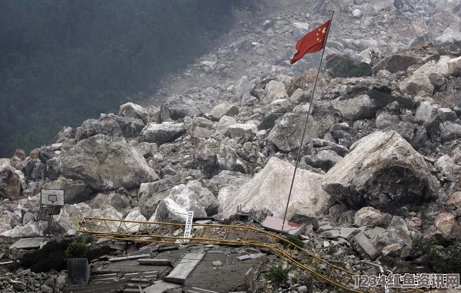 塔吉克斯坦地震波及中国新疆，灾情分析及应对探讨