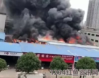 阿富汗首都喀布尔鞋类市场突发火灾，现场浓烟滚滚