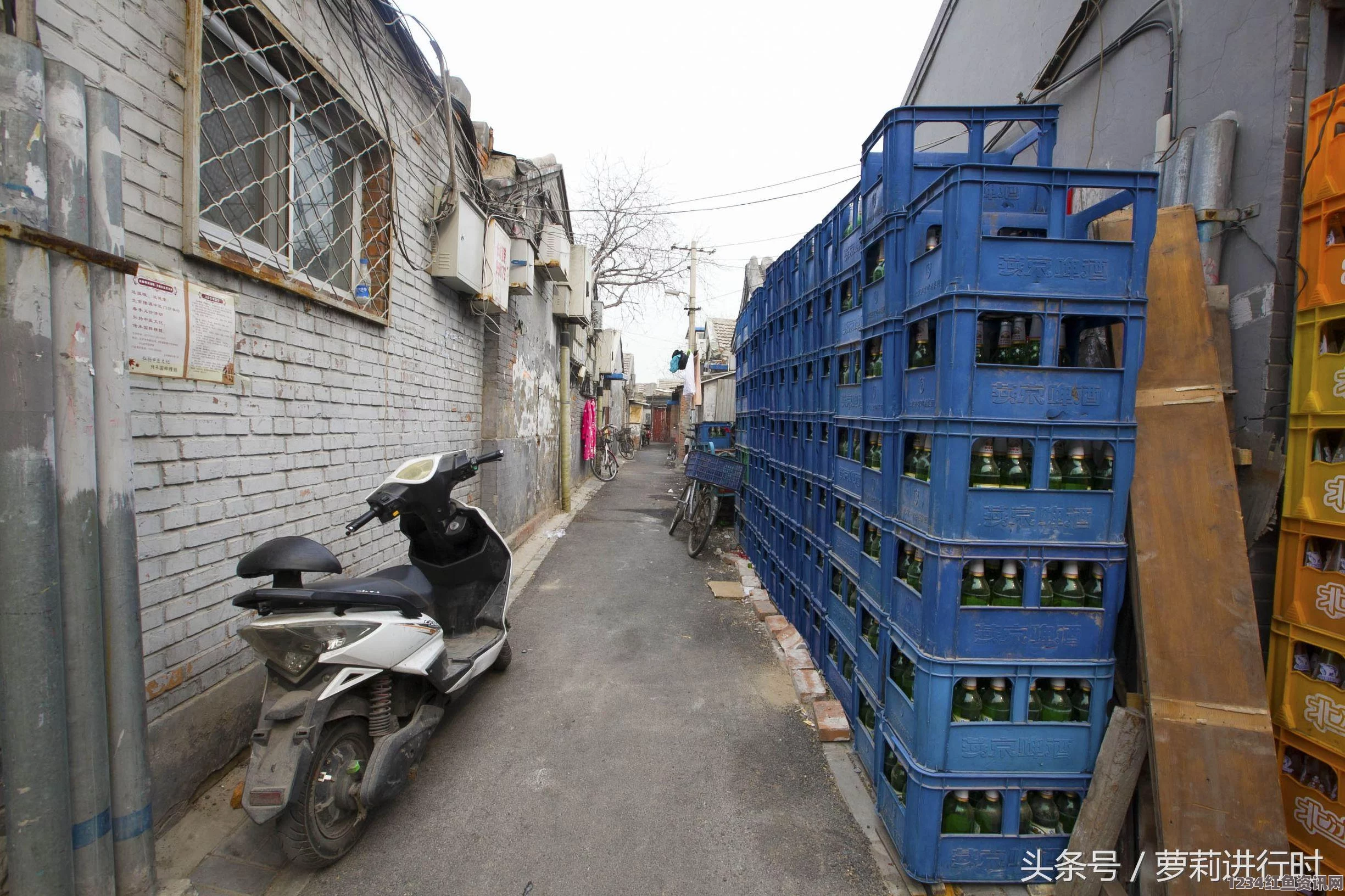 全英国最孤独的小学生，一所小岛学校仅有一名小学生的故事（含图片）