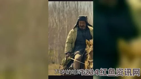 老年人在外打野与休闲活动的关系：探讨影视作品中武打片对刺激感受的影响与评价