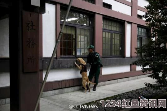 韩国男子涉嫌靖国神社公厕爆炸案，真相待查，韩国保持沉默