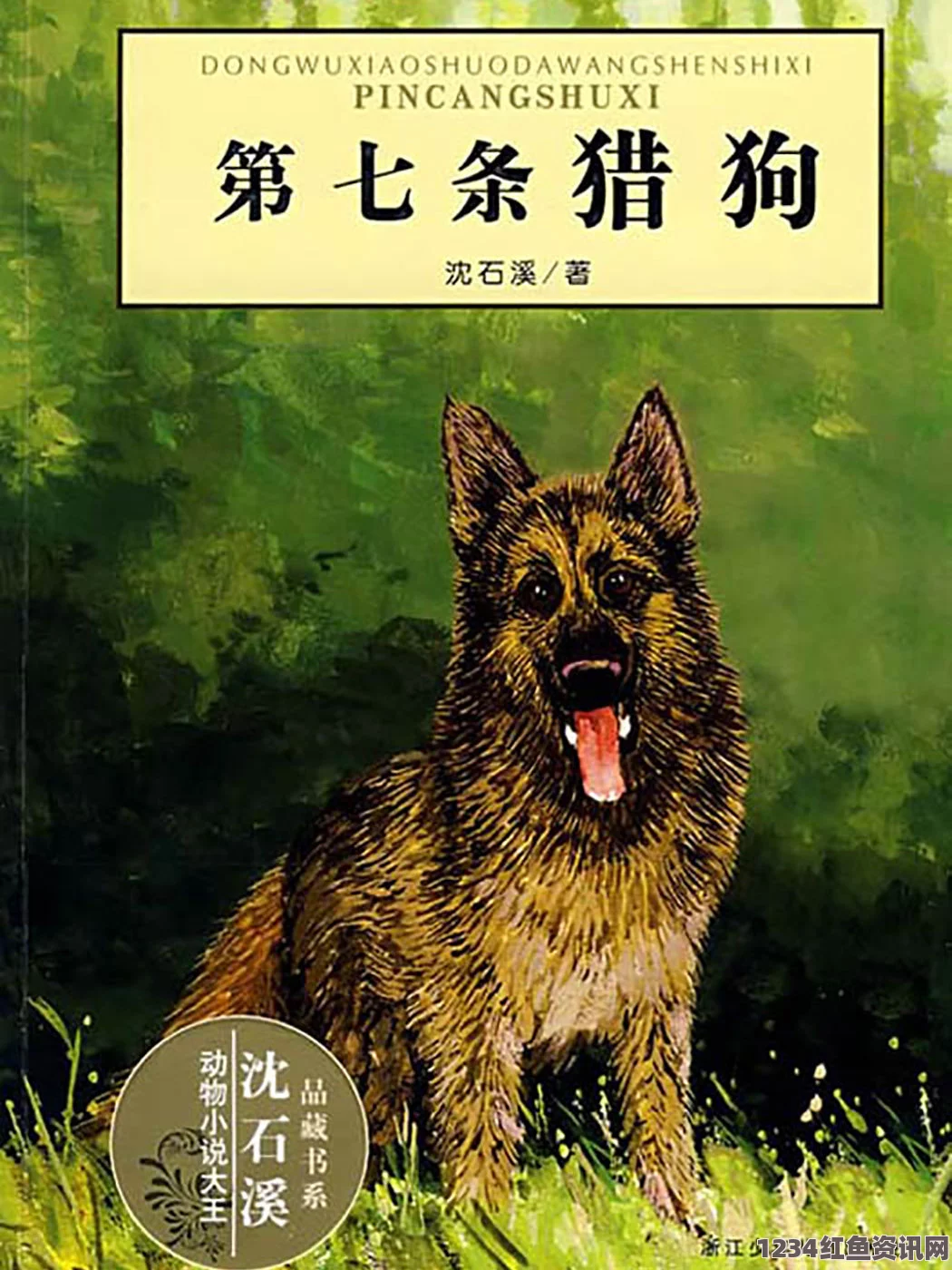 人or猪or狗17c-起草 国：探索武打片的魅力，影视及小说评价齐聚，刺激观众的视觉盛宴