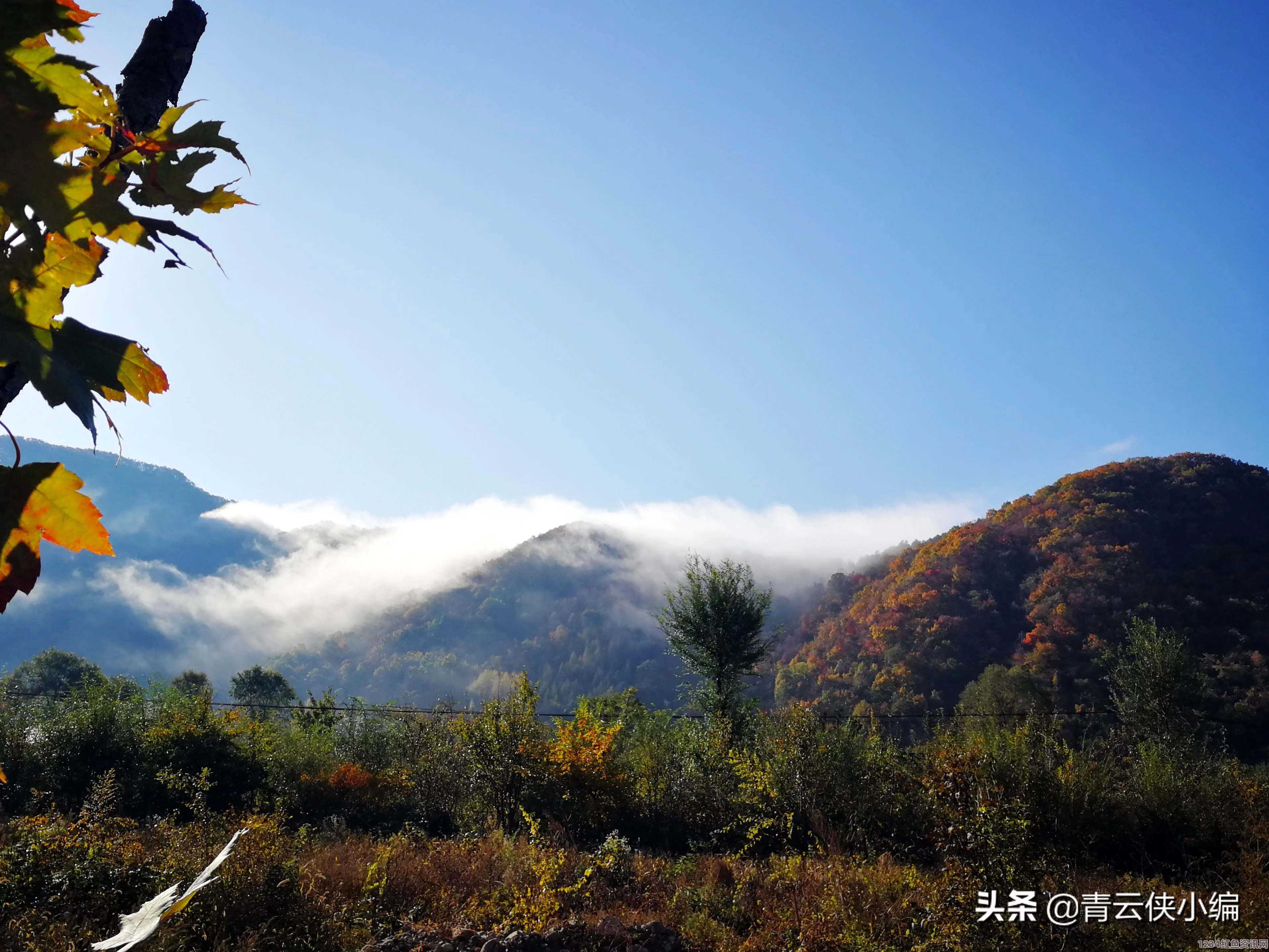 阴阳师，红叶副本攻略与羁绊通关奖励详解