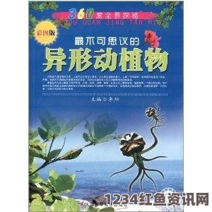 可不可以干湿我：探索激情与欲望交织的绝妙画面