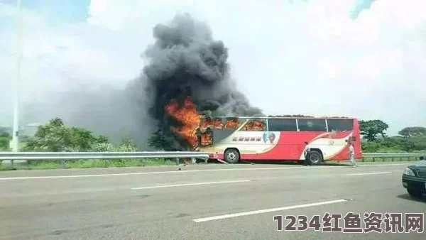 西雅图旅游车相撞事故，全球震惊与反思