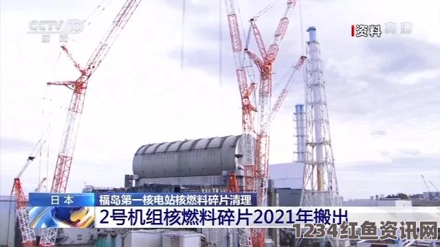 福岛核电站2号反应堆燃料棒溶解状况，最新报告揭示严峻现实与未来挑战