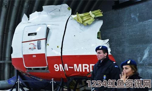 荷兰专家调查马航MH17坠毁案，探寻真相引发全球关注