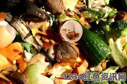 联合国大会倡导节约粮食，午餐由食物残余制成以警示食物浪费现象