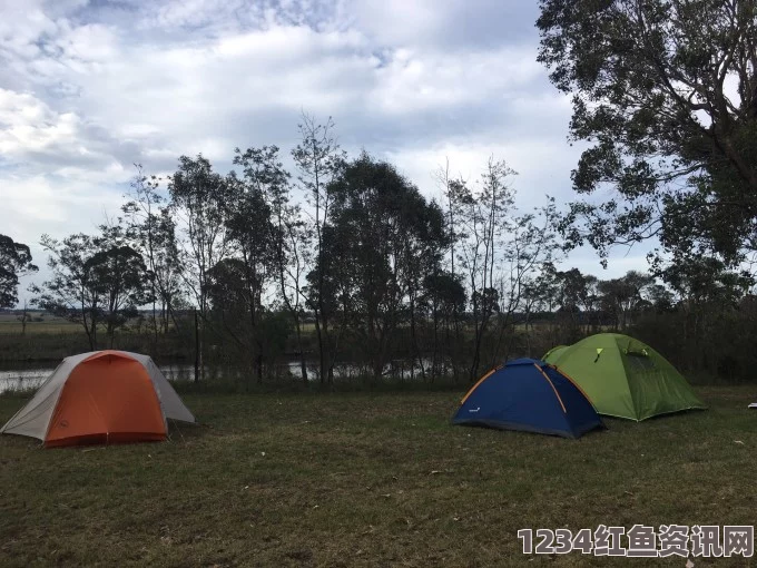 澳洲著名露营胜地突发大规模地陷，现场情况紧急