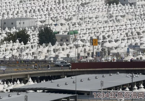 米纳地区麦加踩踏事故，重大伤亡的悲剧