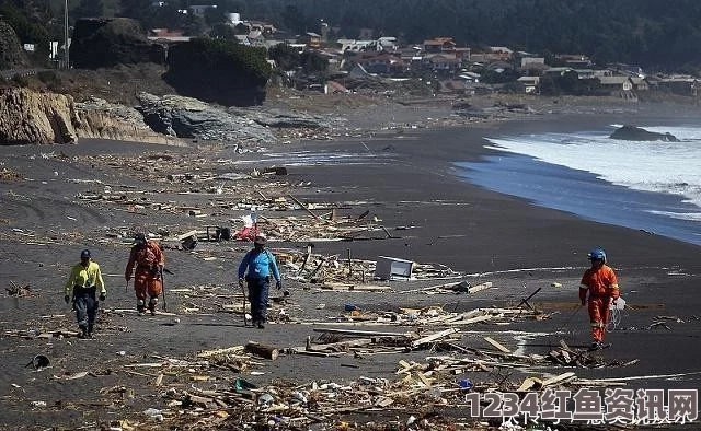 智利海啸引发海岸线内推现象，著名沙滩景区淹没（附图）