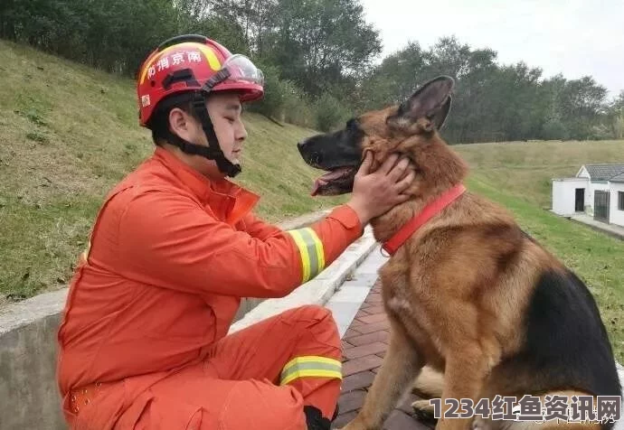 日本消防犬可可的传奇故事，少年英雄的勇敢与忠诚（组图）