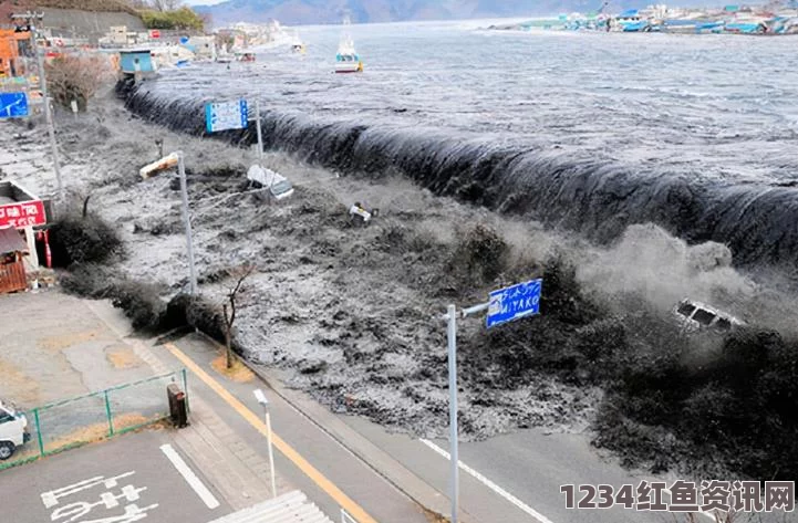 日本沿海观测罕见海啸，多地紧急发布疏散指示，沿海居民需警惕