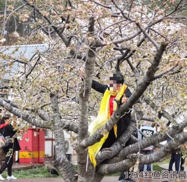 日本节目对中国游客不文明行为提出批评，爬树拍照乱扔烟头现象引发关注