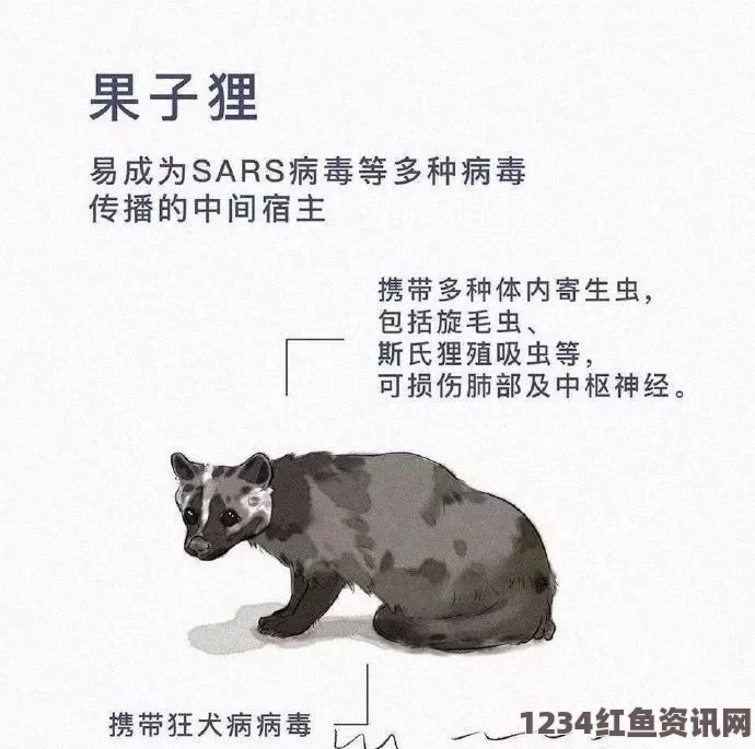 人or猪or狗国色天香综合征：激荡心灵的艺术探索与深情评价