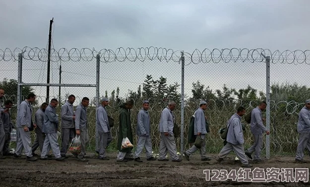 人道援助还是行为艺术？匈牙利警察向难民抛投食物引发争议