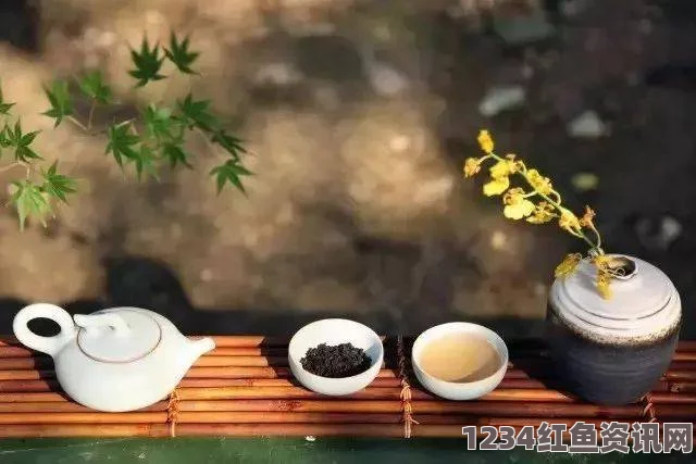 51nana-taipei茶艺：深度探索传统与现代交融的茶文化，品味每一缕香气与艺术激情