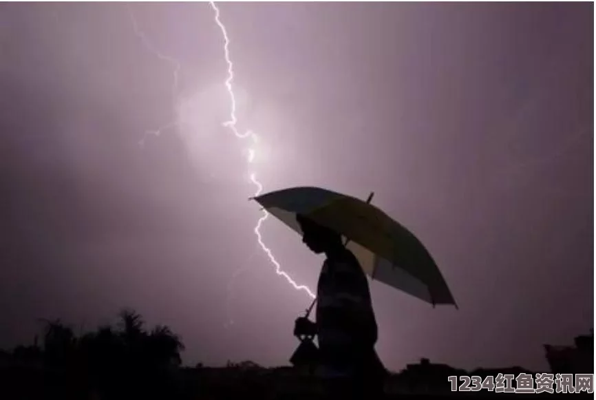 印度南部农场雷击悲剧，背后的故事与反思