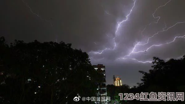 印度南部农场雷击事件，悲剧背后的故事