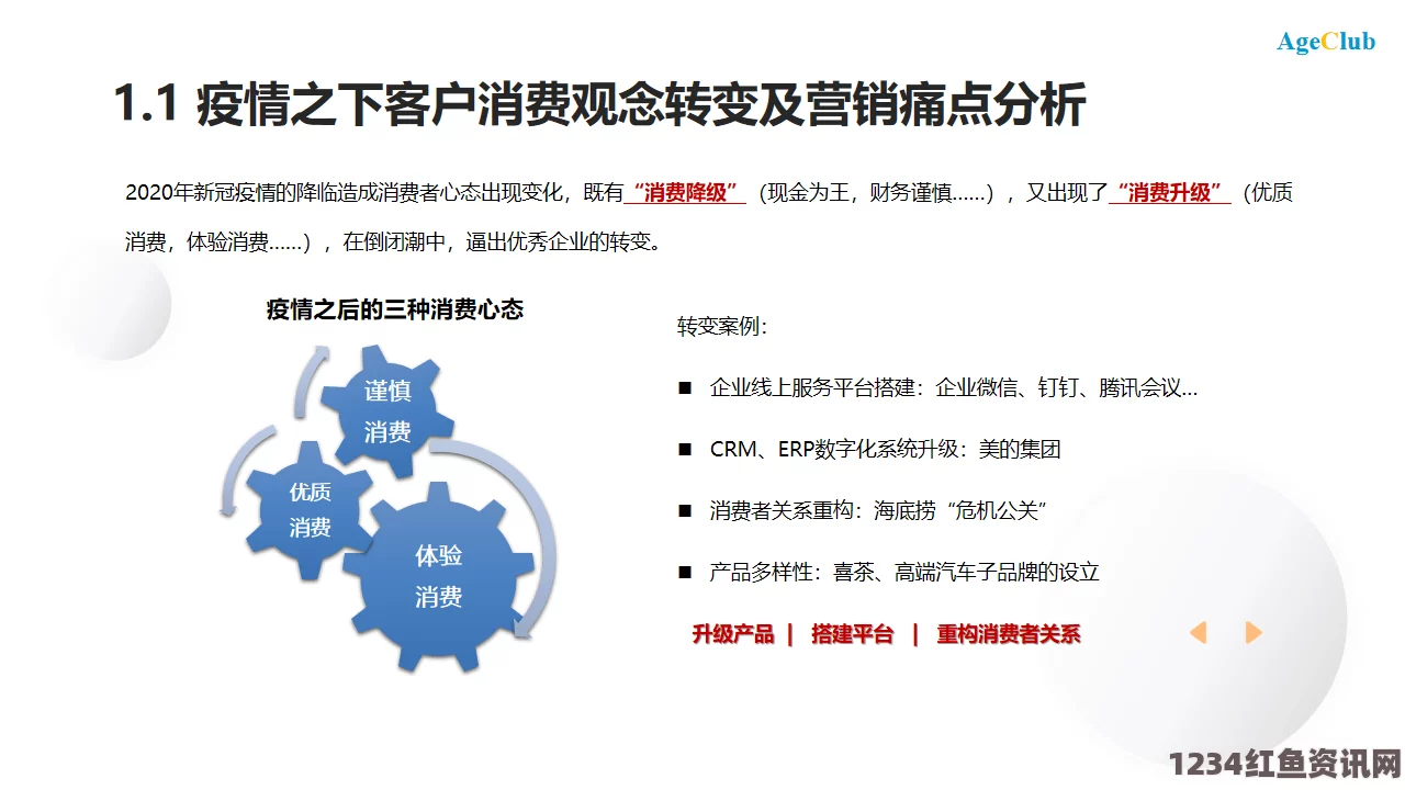 三角战略，升级秘籍、实战技巧与经验分享攻略