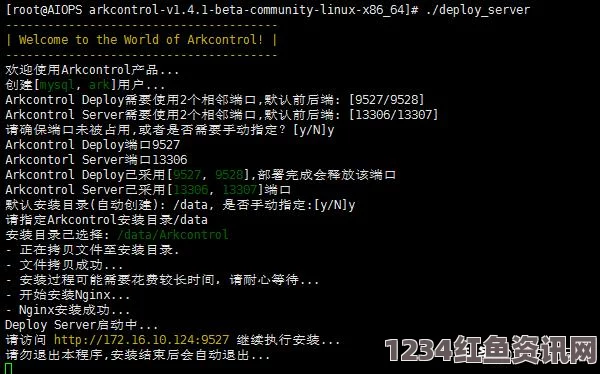 日本Windows Server无需下载：探寻高效运维背后的激情与创新