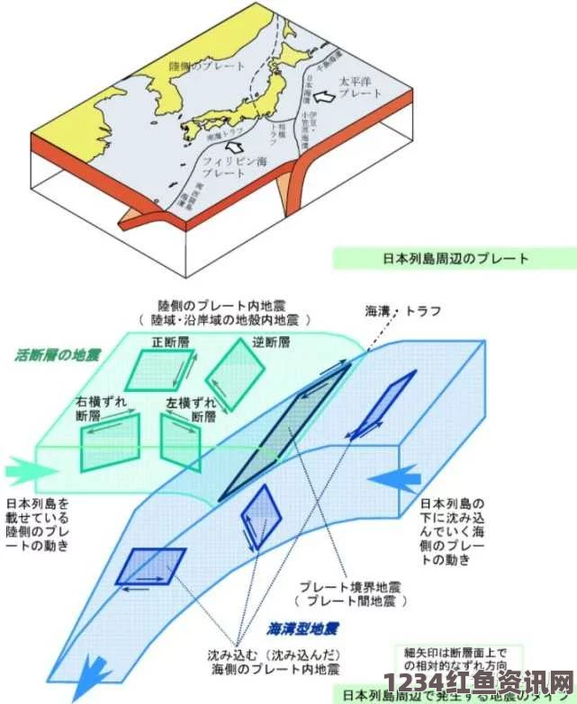 日本东部海域发生地震，震级为4.5级，震源深度达40.8公里，地震影响及应对问答