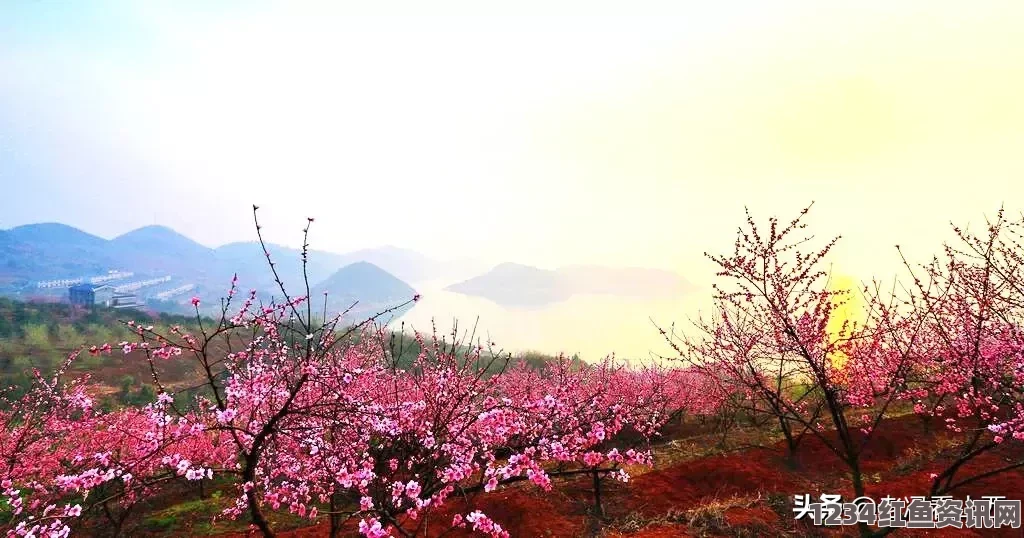 久久戒酒电影桃花岛cm7：激情探索之旅，尽享迷人风景与心动时刻